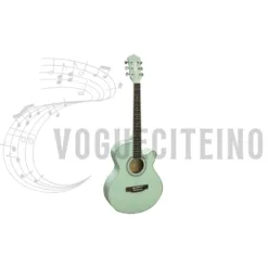 Quality Fenix ​​Acoustic Guitar Ohio